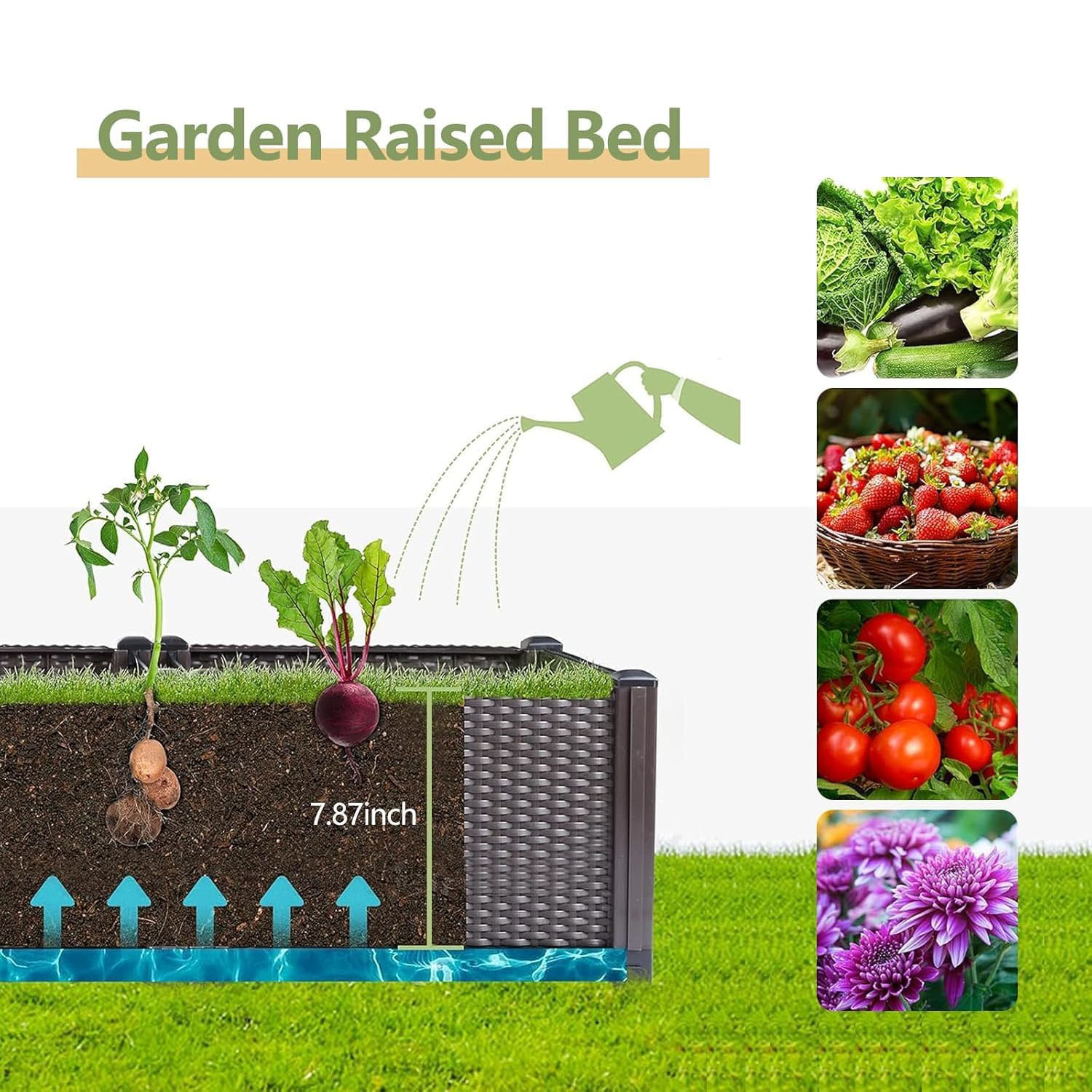 กระบะปลูกผักยกพื้นแบบรดน้ำเอง  - Outdoor Daybed Furniture บทวิจารณ์และราคา